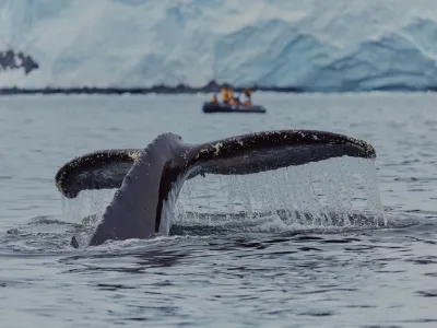 Ocean Explorer - Enrichment