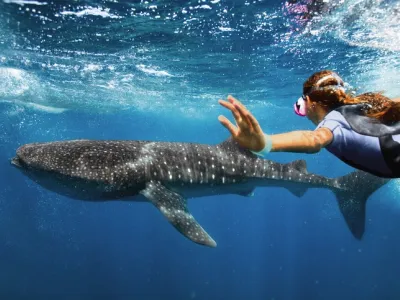 Adventure of the Seas - Enrichment