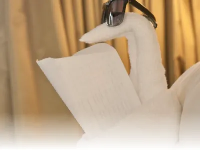 Symphony of the Seas - Enrichment