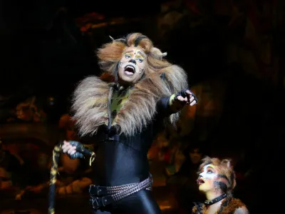 Oasis of the Seas - Entertainment