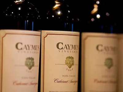 Adventure of the Seas - Enrichment