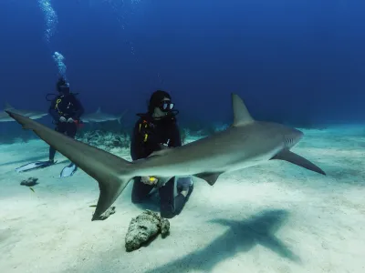 RCI__Scuba_Excursions