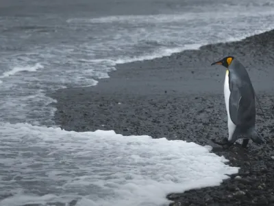 Seabourn Quest - Enrichment