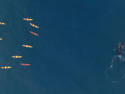 Seabourn Venture - Enrichment