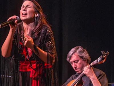 Viking Prestige - Enrichment