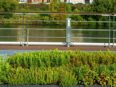 Viking Halogi - Enrichment