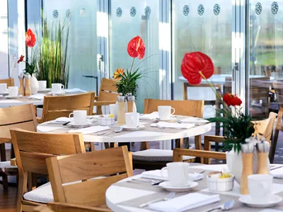 Viking_River_Cruises_Viking_Longships_2019_Aquavit_Terrace