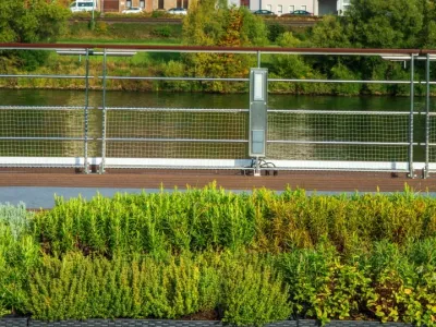 Viking_Sjofn_-_Herb_Garden