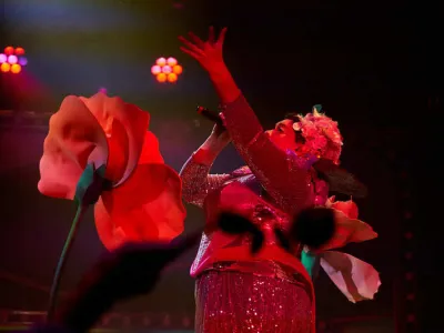 Scarlet Lady - Entertainment