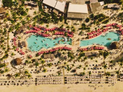 Scarlet Lady - Enrichment