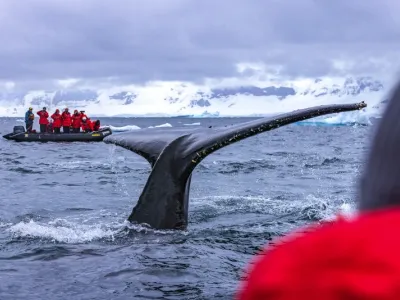 m/v Sea Spirit - Enrichment