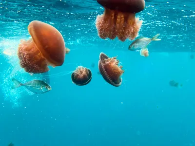 Ningaloo, Western Australia
