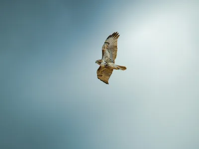 Thunder Bay, Ontario