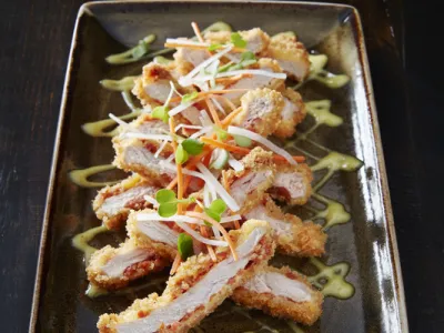 ncl_FoodRep_Tonkatsu