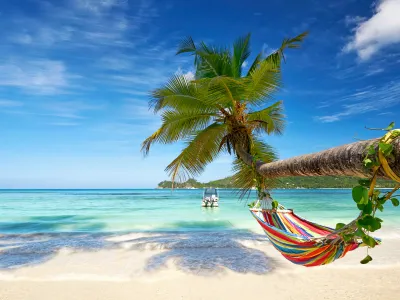 AdobeStock_143167897_0