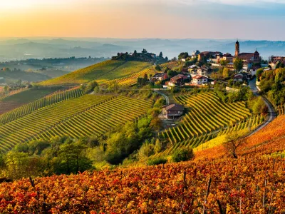 AdobeStock_183589765