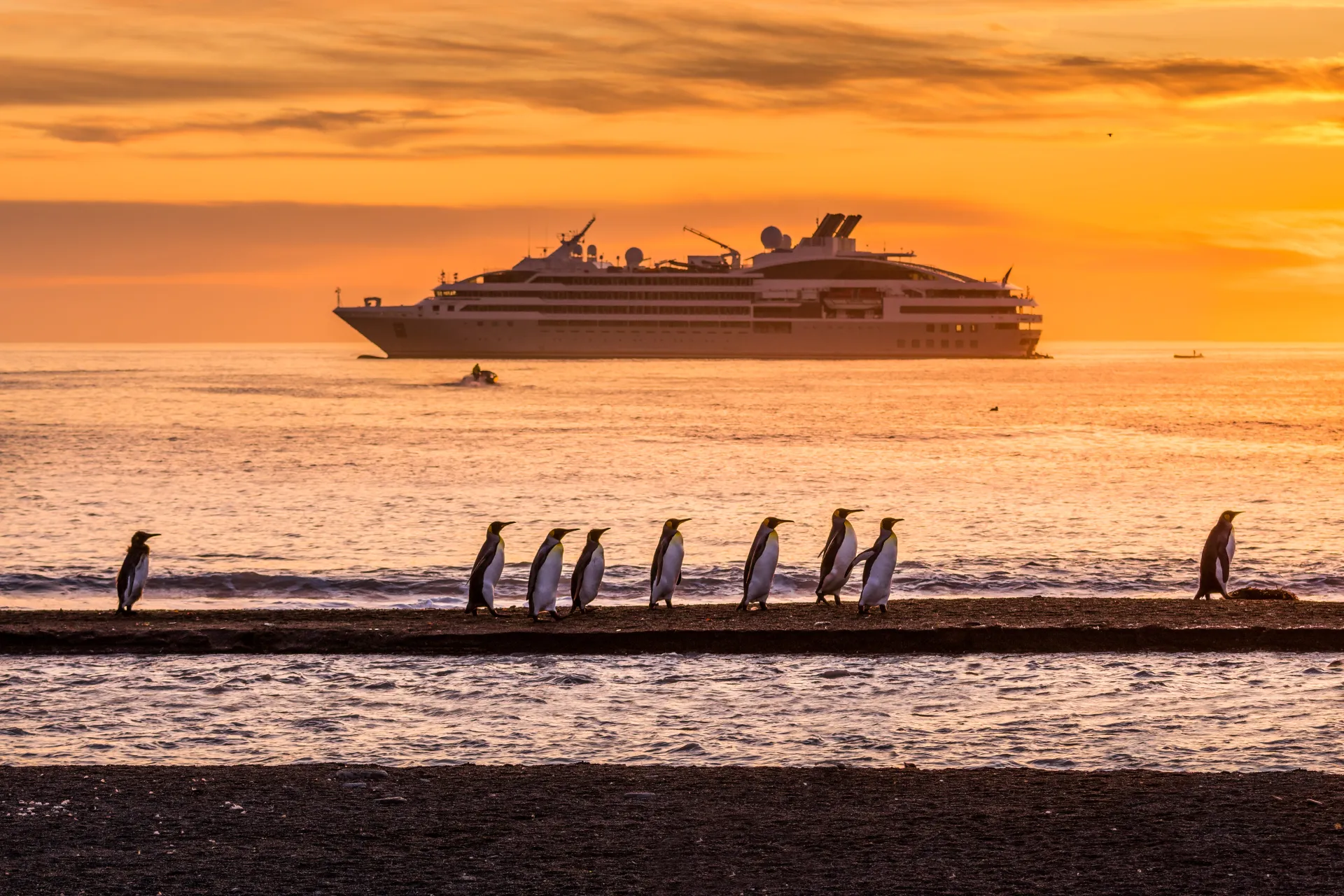 Sister_ships__Manchots_royaux__Golden_Hour_St_Andrews__Ge__orgie_du_Sud__Studio_Ponant_Olivier_Blaud
