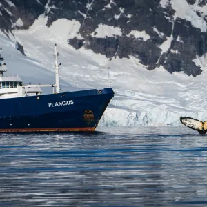 Oceanwide Expeditions