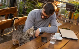 Man petting cat at cat cafe
