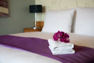 Ambience - Balcony Cabin