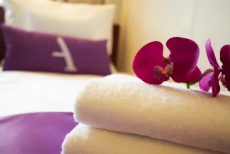 Ambience - Balcony Single Cabin 