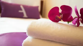 Ambition - Inside Single Cabin