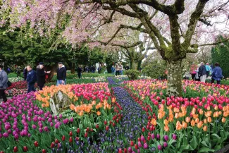 American Spirit - Onshore Excursions