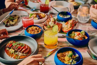 Brilliant Lady - Pink Agave