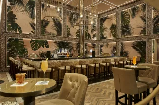 Carnival Mardi Gras - The Brass Magnolia