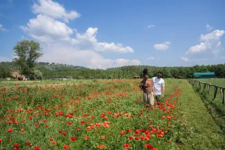 Celebrity Equinox - Excursions