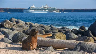 Celebrity Flora - Galapagos Cruises