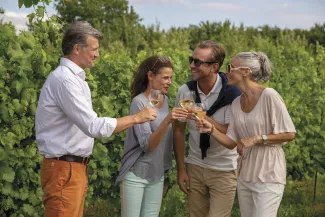 Emerald Dawn - EmeraldPLUS