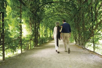 Emerald Radiance - DiscoverMORE