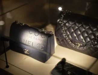 Evrima - The Boutique