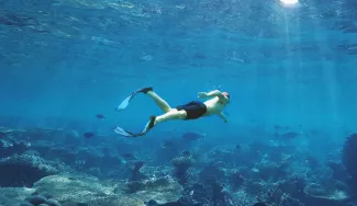 EXPLORA I - Tailored Experiences