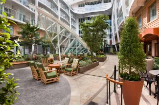 Harmony of the Seas - Trellis Bar