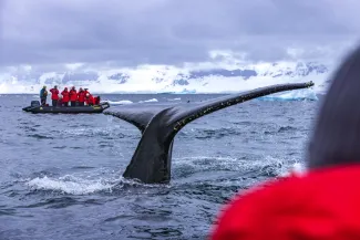m/v Sea Spirit - Zodiac Cruising