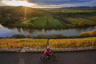 MS Amadeus Queen - Amadeus Active