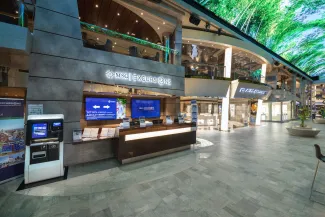 MSC Bellissima - MSC Excursions