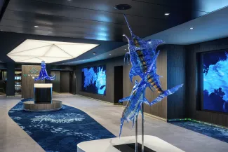 MSC Euribia - MSC Foundation Centre