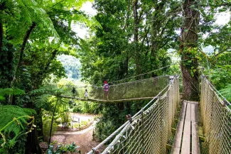 MSC Fantasia - MSC Yacht Club Excursions