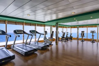MSC Sinfonia - Gym by TechnoGym®