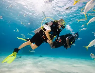 Navigator of the Seas - Scuba Diving Certification