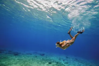 Ovation of the Seas - Scuba Excursions