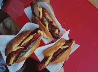 Radiance of the Seas - Dog House