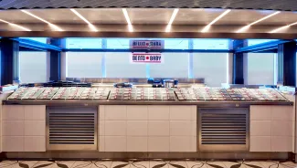 Resilient Lady - Bento Baby