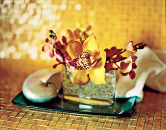 Rotterdam - Greenhouse Spa & Salon