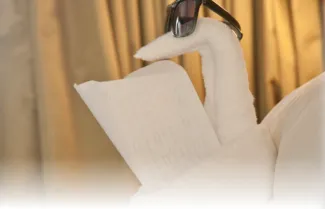 Symphony of the Seas - Folding Artistry