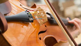 Viking Egil - Classical & Regional Musicians