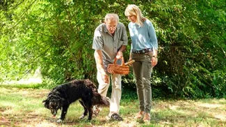 Viking Halogi - Onshore Experiences